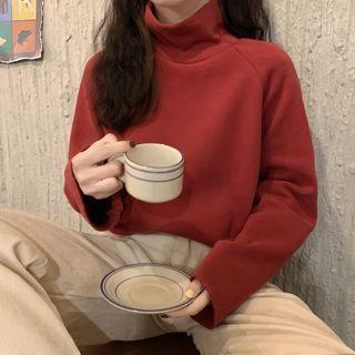Fleece-lined High Neck Plain Sweatshirt