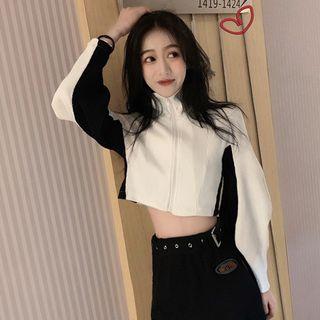Cropped Two-tone Turtleneck Zip Jacket