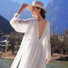 Long-sleeve Sheer A-line Maxi Dress