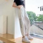 Mesh Baggy Pants
