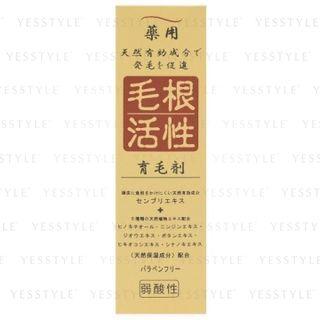 Jun Cosmetic - Medicinal Root Activity Hair Growth 150ml