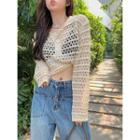 Long-sleeve Crochet Cropped Knit Top