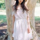 Short-sleeve Cold-shoulder Lace Panel A-line Dress