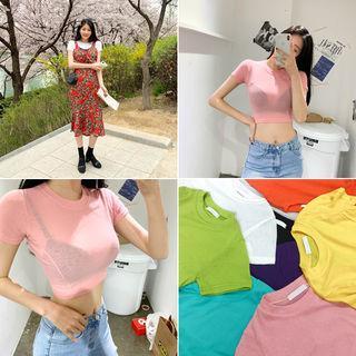Sheer Crop T-shirt In 8 Colors