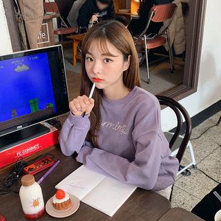 Charming Embroidered Cotton Sweatshirt