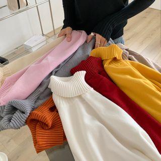 High-neck Long-sleeve Plain Knit Top