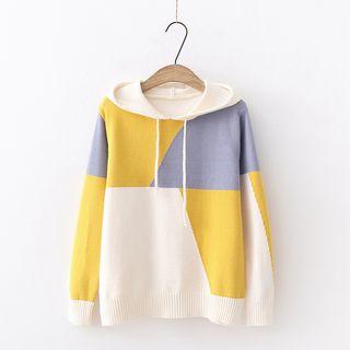 Color Panel Hooded Knit Top