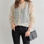 Crew-neck Sheer Lace Blouse