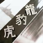Rhinestone Chinese Characters Earring