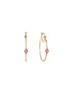 Cathy Waterman Pink Sapphire 1 Hoops