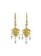 Cathy Waterman Small Handmade Leaf Earrings With Dewdrops