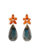 Irene Neuwirth Fire Opal And Labradorite Drop Earrings