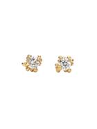 Ruth Tomlinson Solitaire Diamond Studs