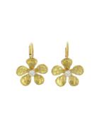 Cathy Waterman Hammered Violets - Designer 22 Karat Gold Earrings