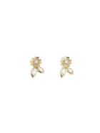 Megan Thorne Buttercup Double Marquise Studs