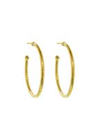 Ara Collection Medium Hammered Hoops
