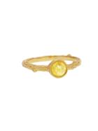 Cathy Waterman Small Yellow Diamond Branch Ring - 22 Karat Gold