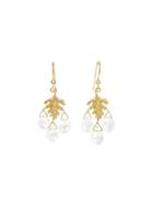Cathy Waterman Rainbow Moonstone Small Leaf Earrings