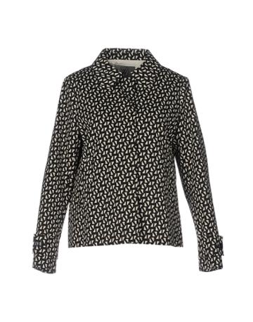 Vicino Venezia Blazers