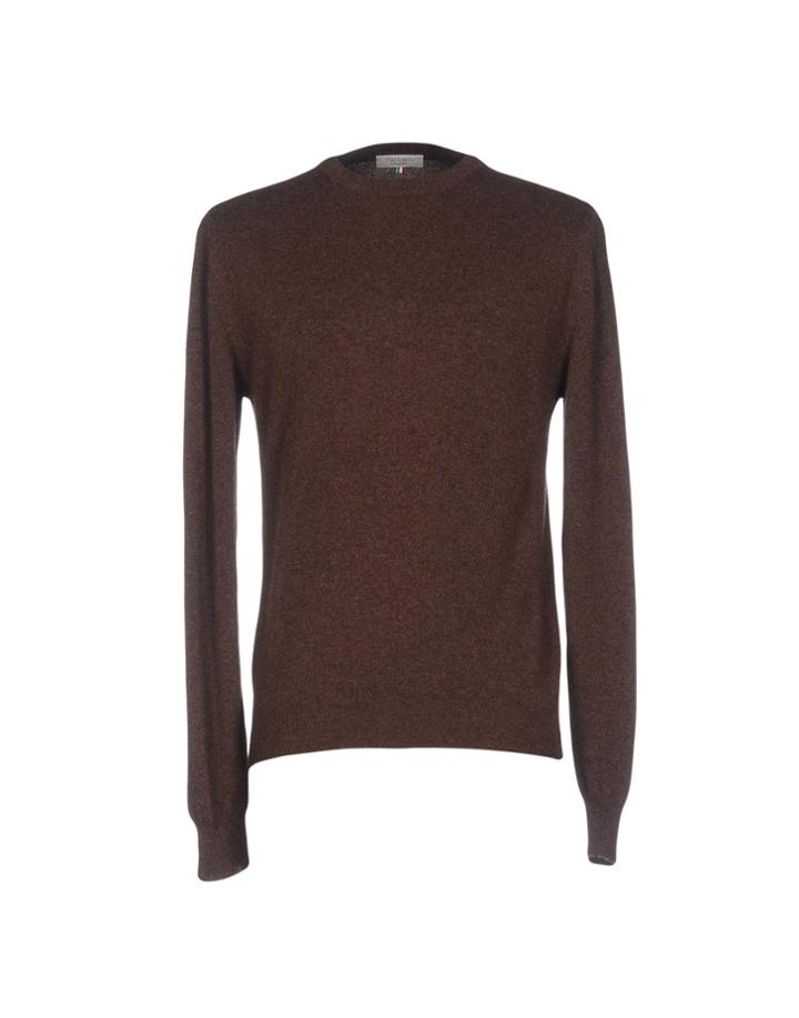 Pashmere Sweaters