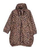 Pour Moi Jackets