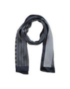 Diana Gallesi Oblong Scarves