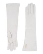 Elisabetta Franchi Gloves