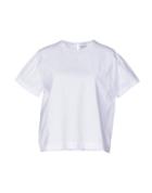 Asciari Blouses