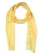 Philosophy Di Alberta Ferretti Scarves