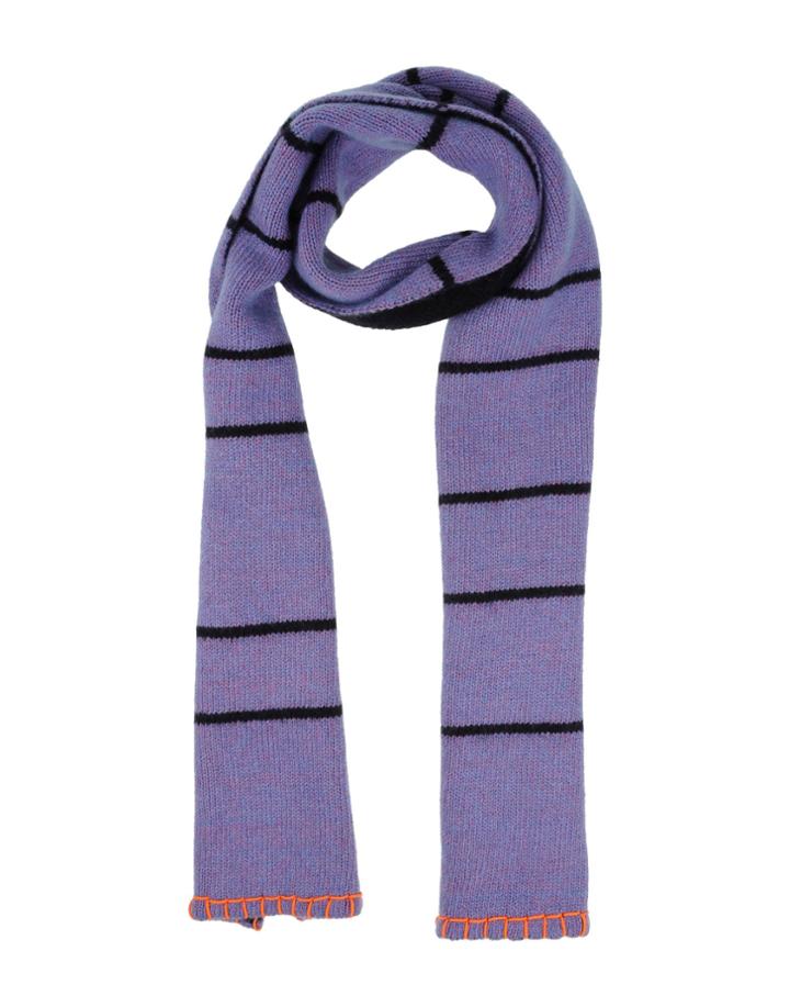 Roksanda Ilincic Oblong Scarves