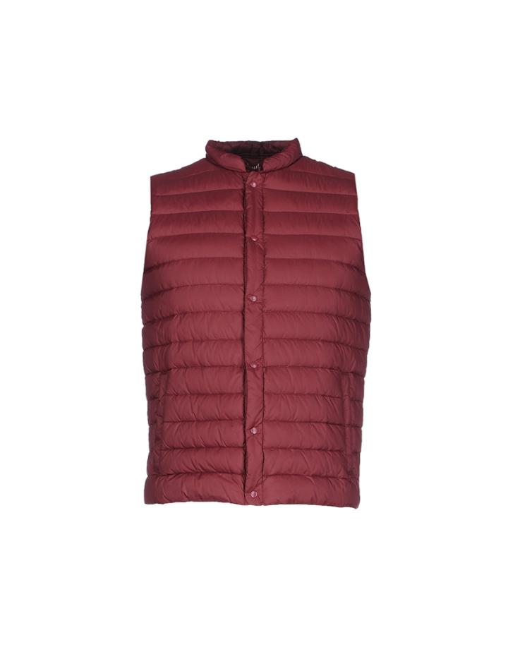 Scout Down Jackets