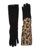 Blue Les Copains Gloves