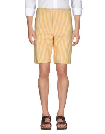 Doriani Bermudas