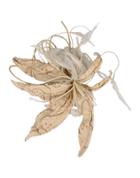Bovina Fiori Brooches