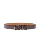 J & M Davidson Belts