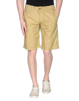 Tortuga Bermudas