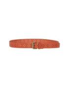 Swildens Belts