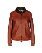 Aristolasia Jackets