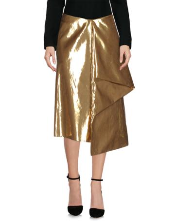 Alessia Xoccato 3/4 Length Skirts