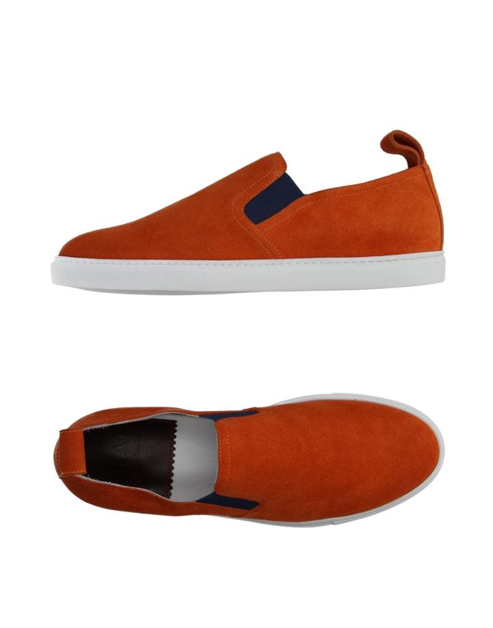Hal Sneakers
