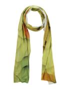 Chiara Cola Oblong Scarves