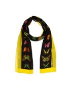 Anna Rachele Oblong Scarves
