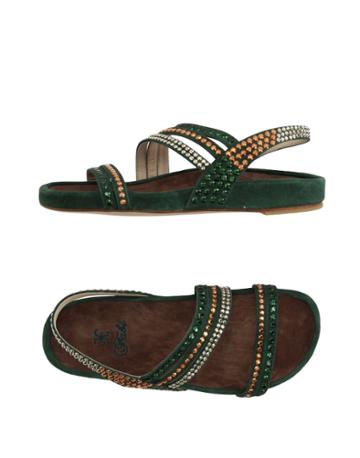 Barracuda Sandals