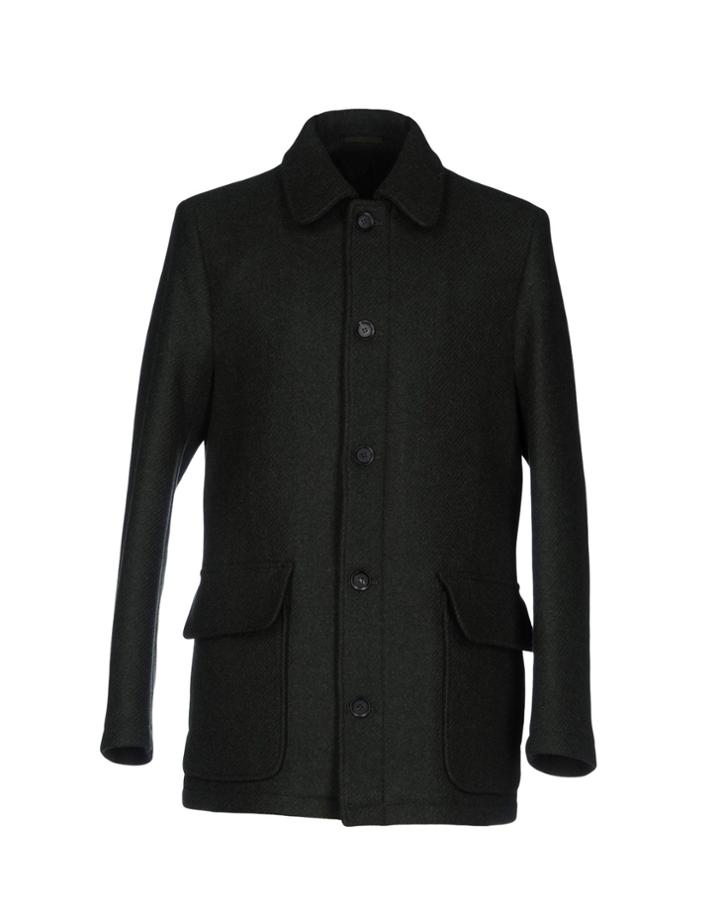Several; Coats