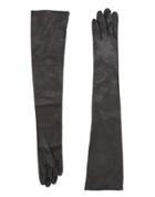 Plein Sud Gloves