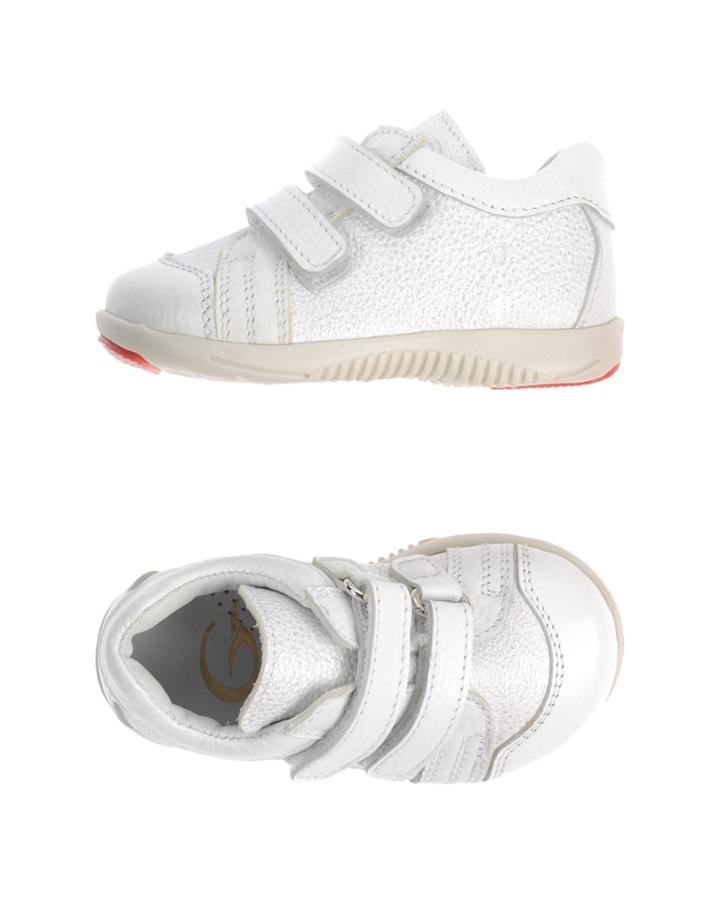 Gallucci Sneakers