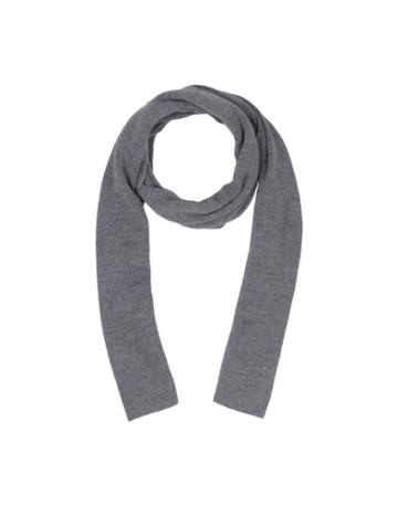 Haus Golden Goose Oblong Scarves
