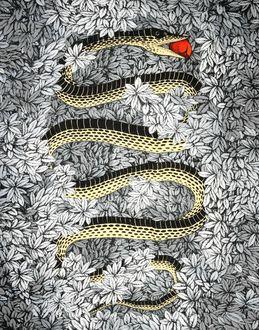 Fornasetti Oblong Scarves