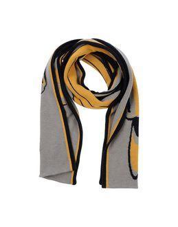 Stephan Schneider Oblong Scarves