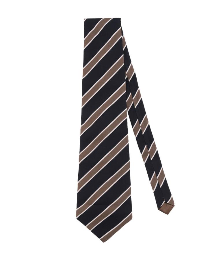 Elisabetta Franchi Ties
